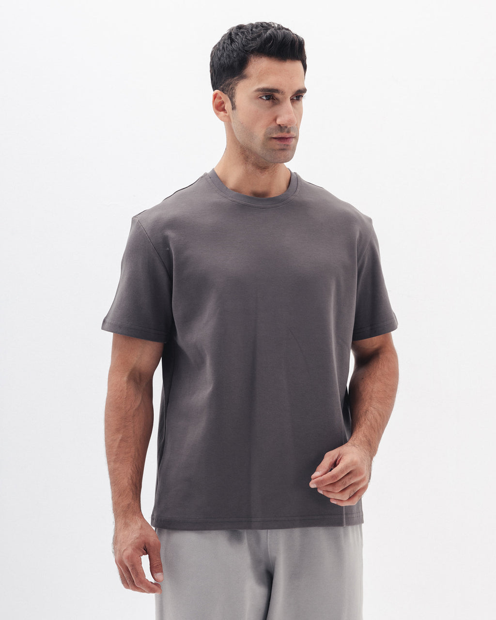 Regular Fit T-Shirt In Grey