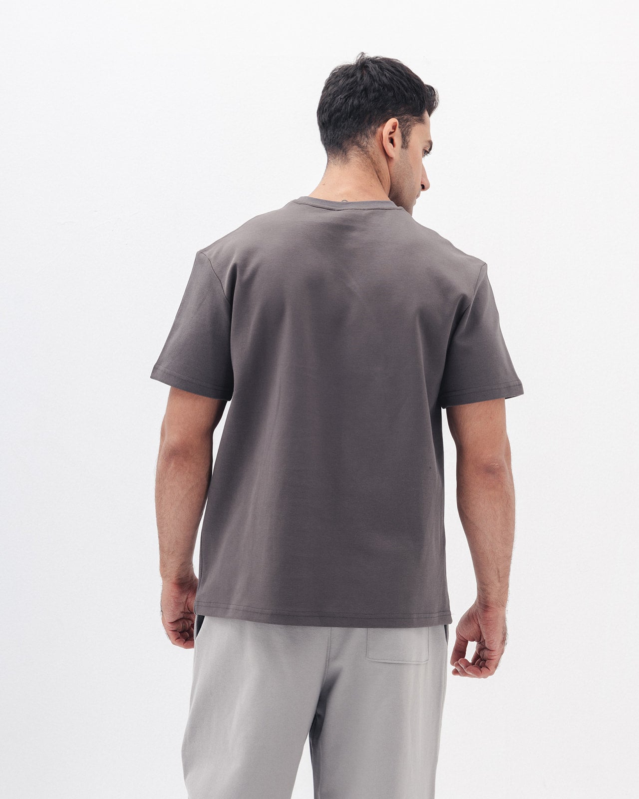 Regular Fit T-Shirt In Grey