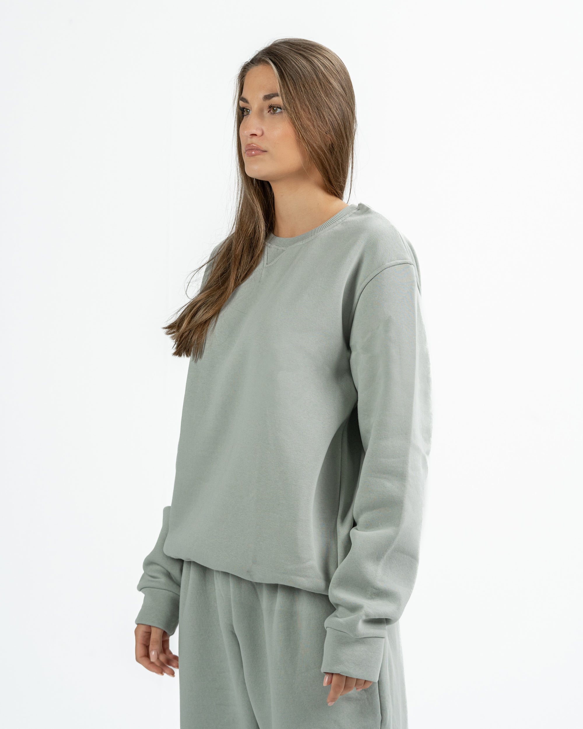 Blank Crewneck in light grey
