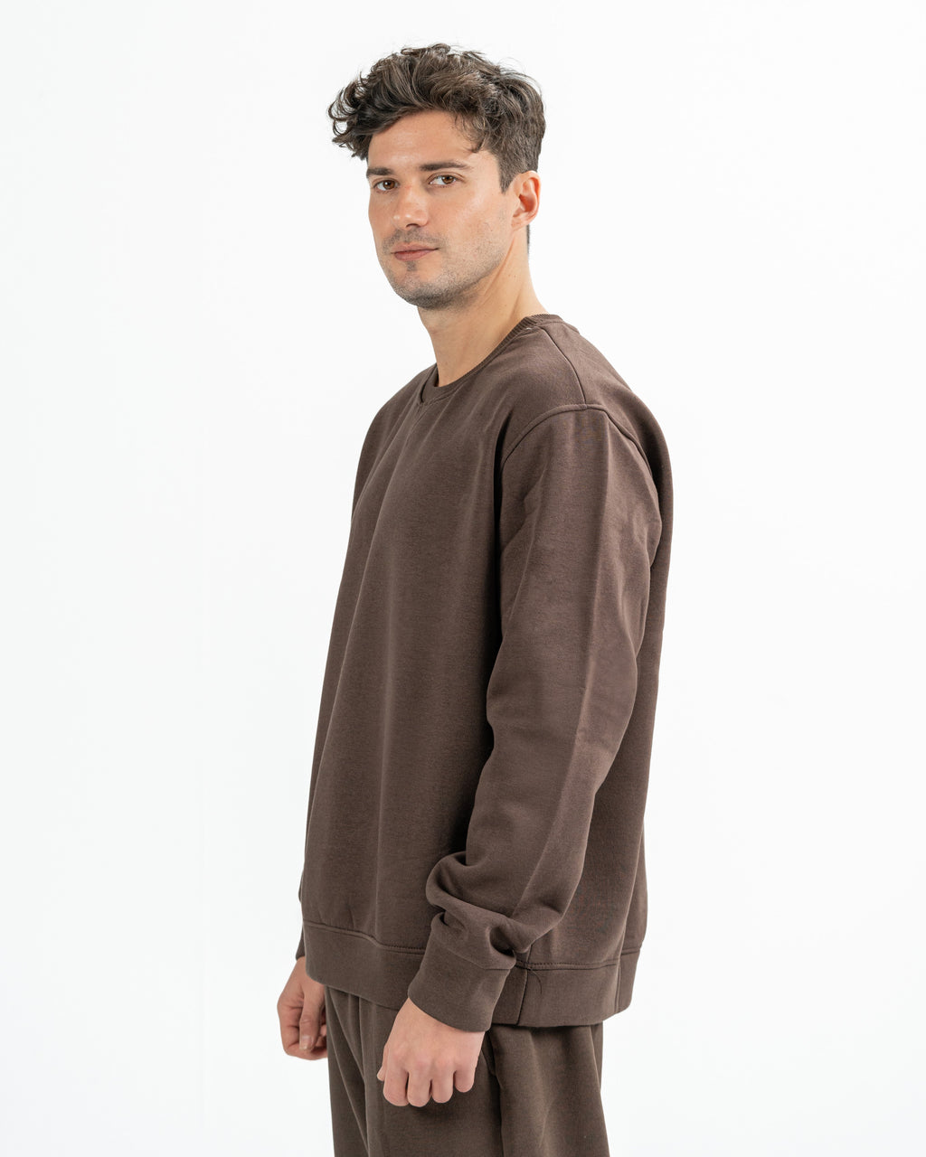 Blank Crewneck in coco brown
